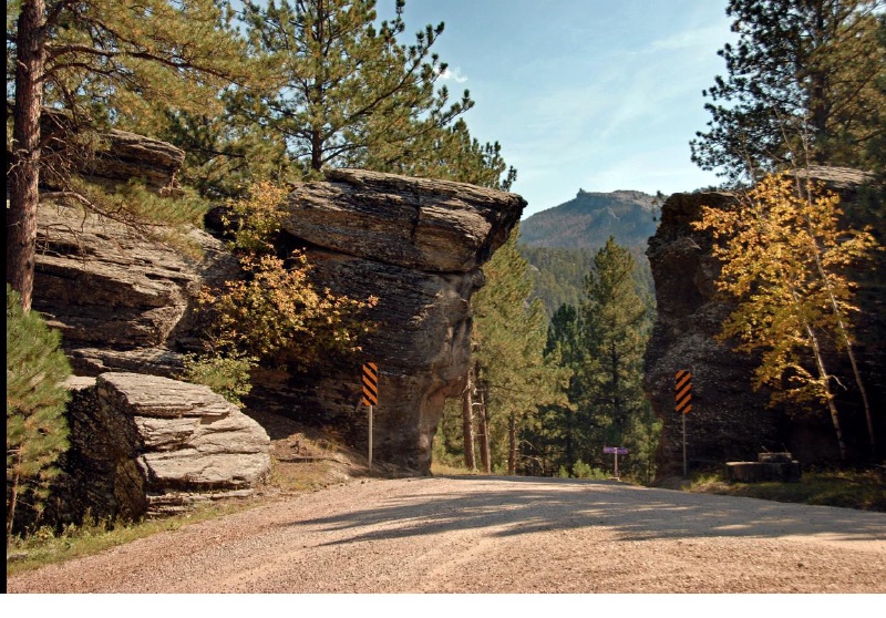 Black-Hills-SD/800x600_Black Hills 2.jpg